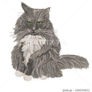 イラスト素材　油彩で描いた猫（サイベリアン）