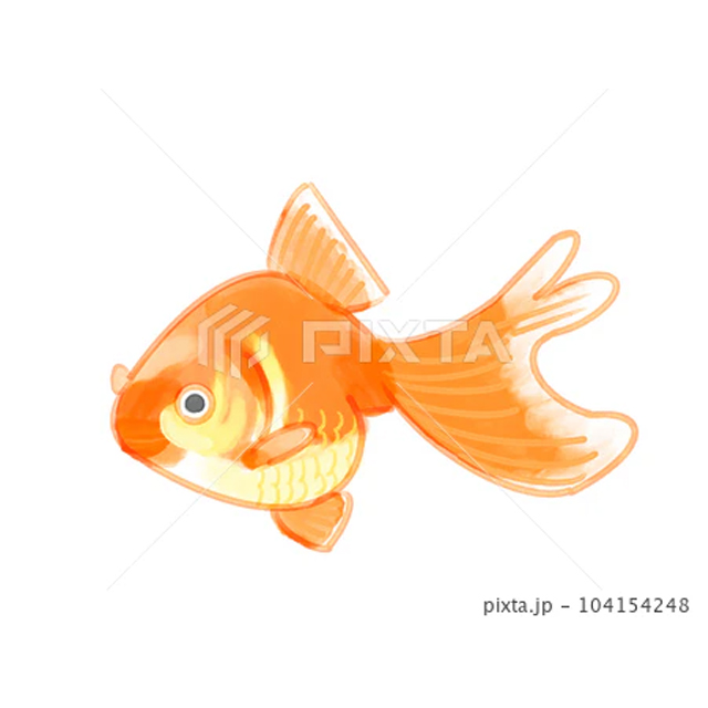 手書き風金魚(オレンジ)