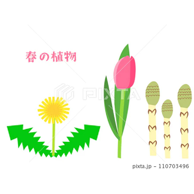 春の植物のイラスト