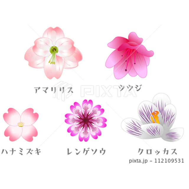 手書き風の春の花の イラストセット