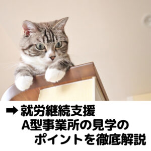 就労継続支援A型事業所の見学のポイントを徹底解説
