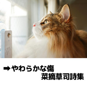 やわらかな傷 菜摘草司詩集