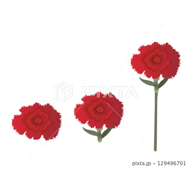 赤いカーネーションのイラスト